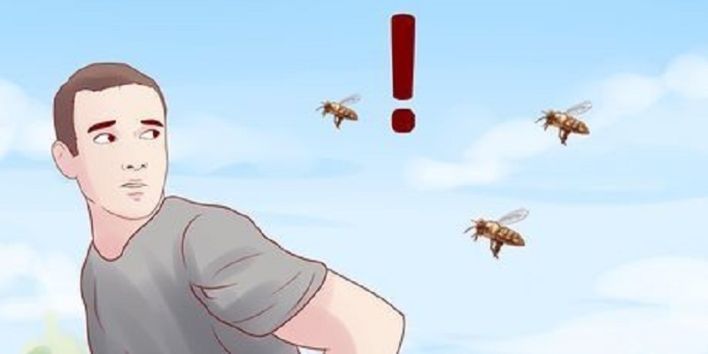 Bi ong truy đuổi trong giấc mơ thể hiện những áp lực lớn